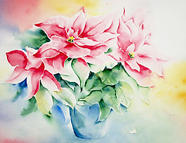 位圖 植物 寫意花卉 花朵 免費素材