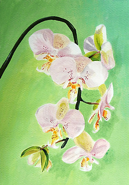 位圖 植物 寫(xiě)意花卉 花朵 免費(fèi)素材