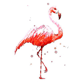 位圖 插畫 時(shí)尚插畫 動(dòng)物插畫 藝術(shù)效果 免費(fèi)素材