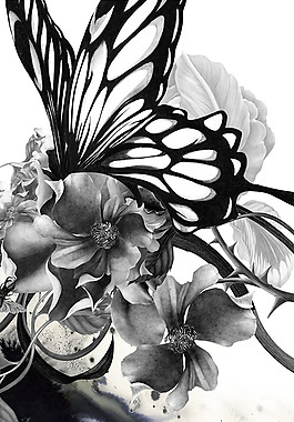 位圖 插畫 時尚插畫 植物插畫 插畫師 免費(fèi)素材