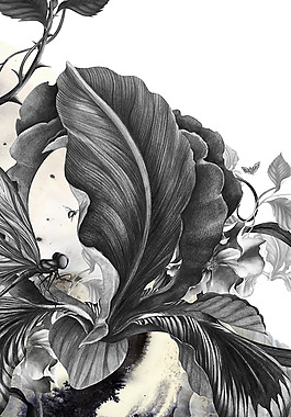 位圖 插畫 時尚插畫 植物插畫 插畫師 免費素材