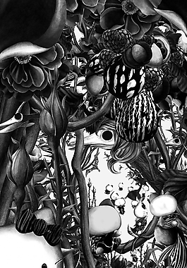 位圖 插畫 時(shí)尚插畫 植物插畫 插畫師 免費(fèi)素材