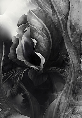 位圖 插畫 時(shí)尚插畫 植物插畫 插畫師 免費(fèi)素材