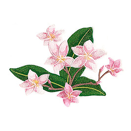 繡花 植物 花朵 免費素材