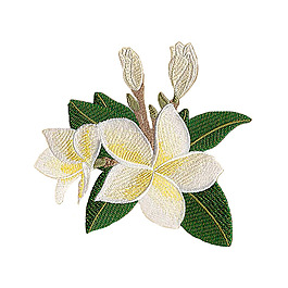繡花 植物 花朵 免費(fèi)素材
