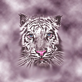 位圖 插畫 時尚插畫 動物插畫 藝術(shù)效果 免費素材
