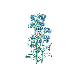 繡花 植物 花朵 免費(fèi)素材
