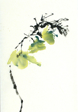 位圖 植物 寫(xiě)意花卉 花朵 免費(fèi)素材
