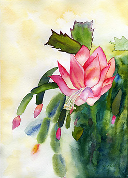 位圖 植物 寫意花卉 花朵 免費素材