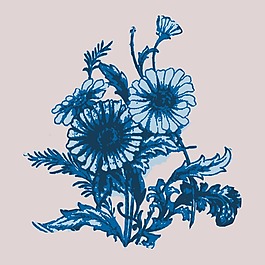 印花矢量圖 T恤圖案 植物 花朵 色彩 免費(fèi)素材