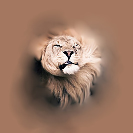 位圖 插畫 時尚插畫 動物插畫 藝術(shù)效果 免費素材