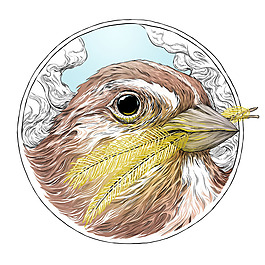 位圖 插畫 時尚插畫 動物插畫 插畫師 免費素材