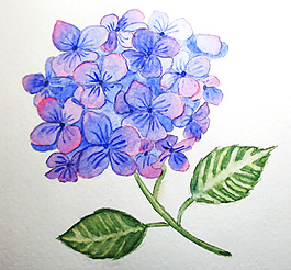 位圖 植物 寫意花卉 花朵 免費(fèi)素材