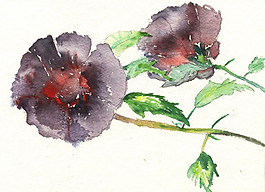 位圖 植物 寫意花卉 花朵 免費(fèi)素材