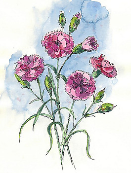 位圖 植物 寫意花卉 花朵 免費素材