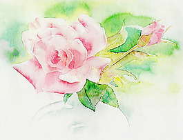 位圖 植物 寫意花卉 花朵 免費素材