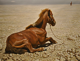 位圖 插畫(huà) 時(shí)尚插畫(huà) 動(dòng)物插畫(huà) 藝術(shù)效果 免費(fèi)素材