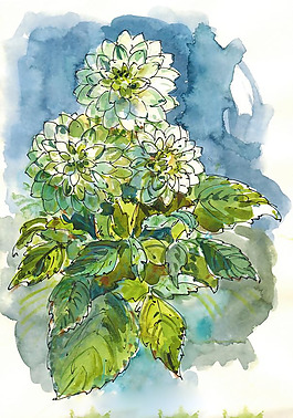位圖 植物 寫意花卉 花朵 免費(fèi)素材