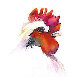 位圖 插畫 時尚插畫 動物插畫 插畫師 免費素材