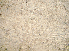 weird_background