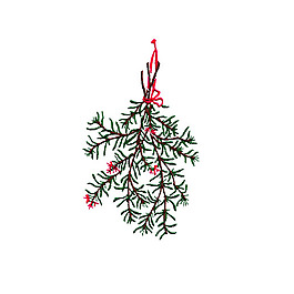 繡花 植物 花束 免費素材