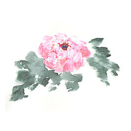 位圖 植物 寫意花卉 花朵 牡丹 免費(fèi)素材
