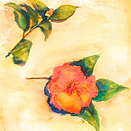位圖 植物 寫(xiě)意花卉 花朵 免費(fèi)素材
