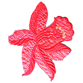 繡花 植物 花朵 免費素材
