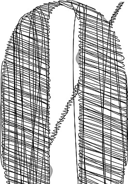 手绘字体矢量插画