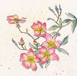 位圖 植物 寫(xiě)意花卉 花朵 免費(fèi)素材