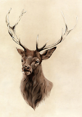 位圖 插畫(huà) 時(shí)尚插畫(huà) 動(dòng)物插畫(huà) 插畫(huà)師 免費(fèi)素材