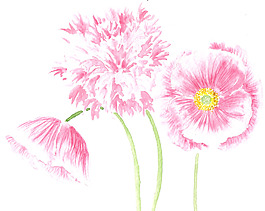 位圖 植物 寫意花卉 花朵 免費(fèi)素材