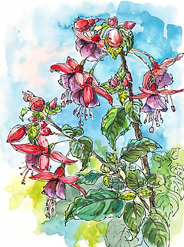 位圖 植物 寫意花卉 花朵 免費素材