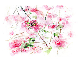 位圖 植物 寫意花卉 花朵 免費素材