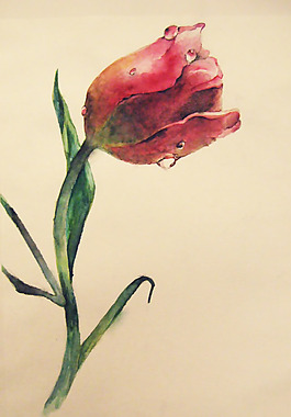 位圖 植物 寫意花卉 花朵 免費素材