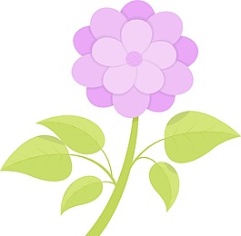 粉紅色的花分公司