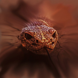 位圖 插畫(huà) 時(shí)尚插畫(huà) 動(dòng)物插畫(huà) 藝術(shù)效果 免費(fèi)素材