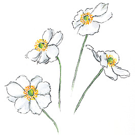 位圖 植物 寫意花卉 花朵 免費素材