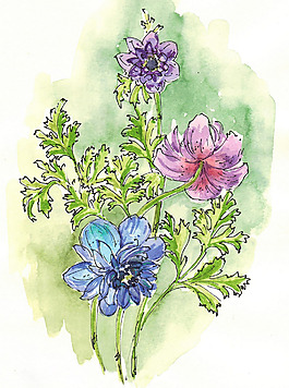 位圖 植物 寫意花卉 花朵 免費素材