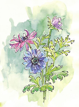位圖 植物 寫意花卉 花朵 免費素材