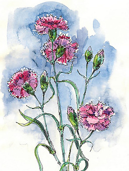 位圖 植物 寫意花卉 花朵 免費素材