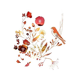 位圖 插畫 時尚插畫 動物插畫 植物插畫 免費素材