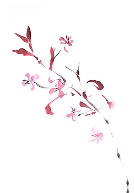 位圖 植物 寫(xiě)意花卉 花朵 免費(fèi)素材