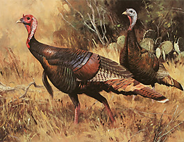 位圖 插畫 時尚插畫 動物插畫 藝術(shù)效果 免費素材