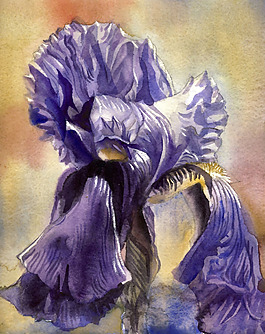 位圖 植物 寫(xiě)意花卉 花朵 免費(fèi)素材