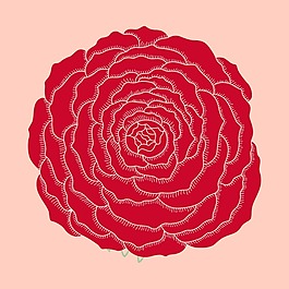 印花矢量圖 T恤圖案 植物 花朵 色彩 免費(fèi)素材
