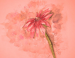 位圖 植物 寫意花卉 花朵 免費素材