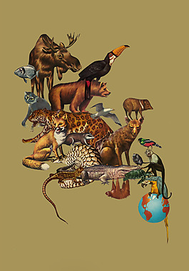 位圖 插畫 時尚插畫 動物插畫 插畫師 免費素材