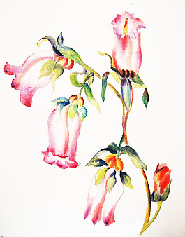 位圖 植物 寫意花卉 花朵 免費(fèi)素材