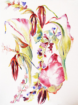 位圖 植物 寫意花卉 花朵 免費(fèi)素材